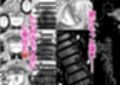 性奴●堕ちお姉ちゃんと三匹の♂豚