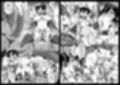 SSR8