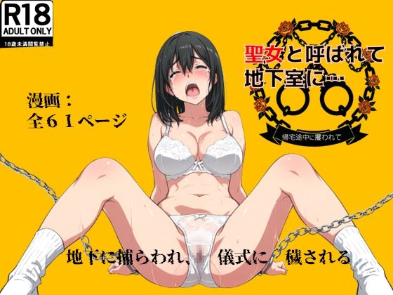 聖女と呼ばれて地下室に…帰宅途中に攫われて | 絹宝団 同人漫画表紙