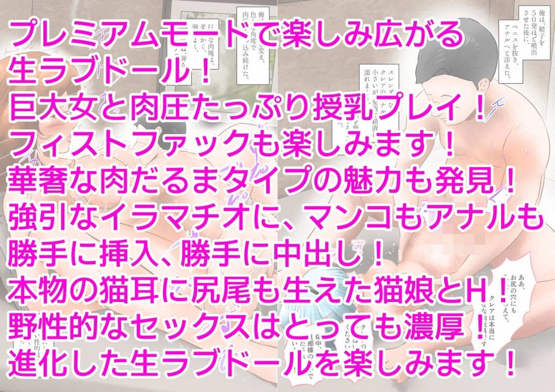 生ラブドールで色んな中出しプレイを楽しんだ。  下巻 画像10