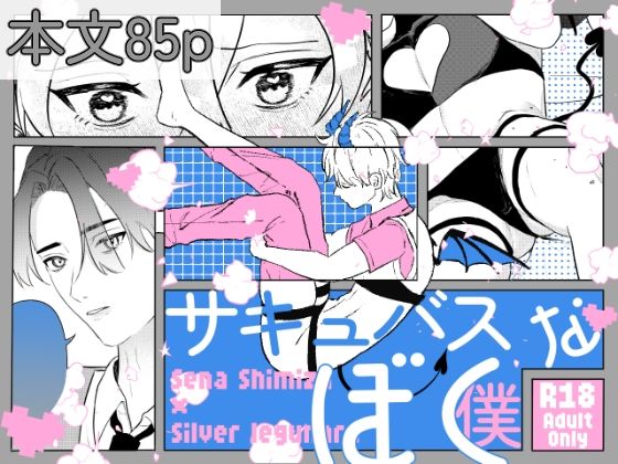 サキュバスな僕〜世話焼きバリタチDK×ピュア健気サキュバス♂のすれちがいラブ〜 メイン画像
