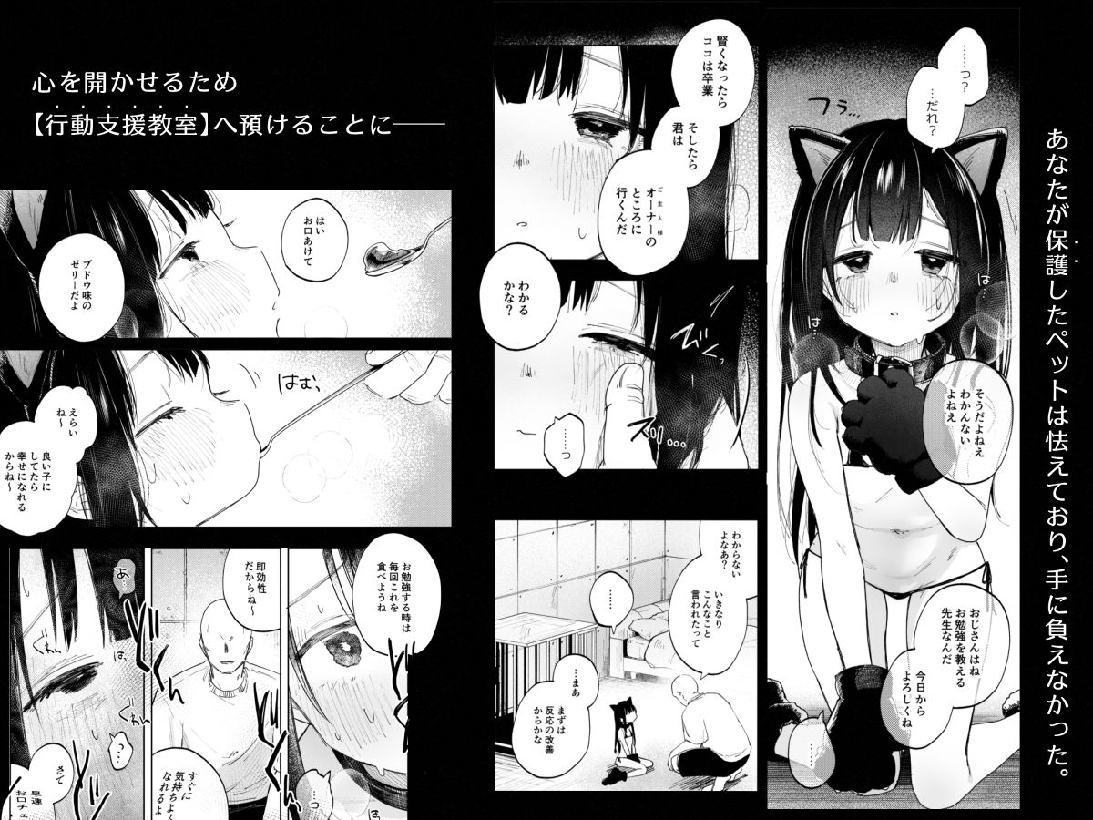 調整記録 ご主人様（あなた）の元へ届くまで 画像2