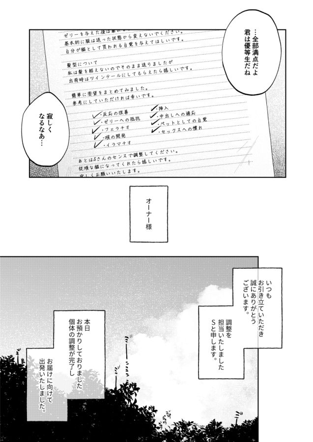 調整記録 ご主人様（あなた）の元へ届くまで 画像4