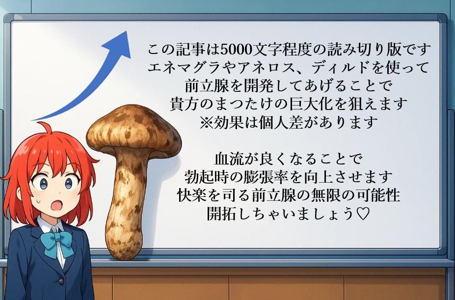 アネロス・エネマ・ディルドを使って ペニス巨大化できる！？ （はーと）女も男も悦ぶ巨根の作り方（はーと） （はーと）徹底解説（はーと）   前立腺開発でペニスの血流爆増 一目置かれるイチモツ （はーと）自分で作っちゃお（はーと） 画像2