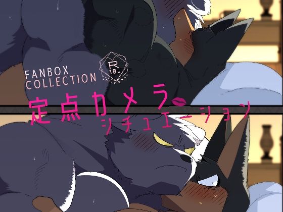 FANBOX COLLECTION 定点カメラシチュエーション メイン画像