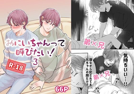 おにいちゃんって呼びたい！3 メイン画像