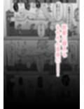 〜定点観測〜レ●プに気づかない女たち