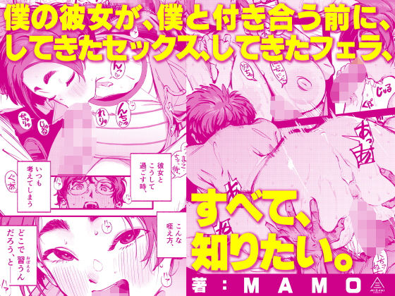 僕の彼女が、僕と付き合う前に、してきたセックス、してきたフェラ、すべて、知りたい。