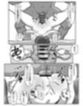 ボテははっEX〜実母マ〇コを壊れるまでメッタ突きにした結果 母さんは俺に命乞いしながら絶頂した〜