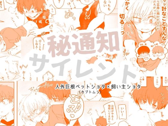 秘通知サイレントのタイトル画像
