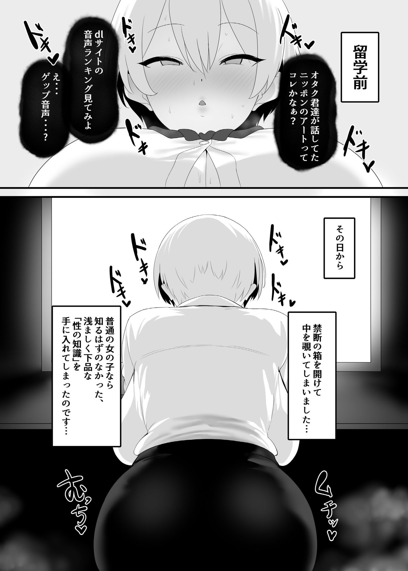 Youはナニしにニッポンへ？ 画像1