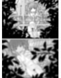 サンプル6