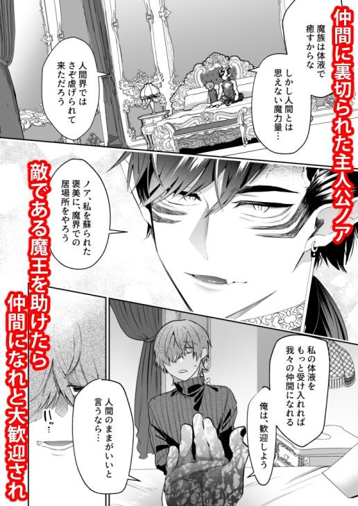 嫌われ魔術師は魔王のお気に入り shy エロ漫画2