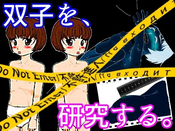 双子研究