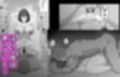 とある強豪野球部の汁だくアクメ特訓