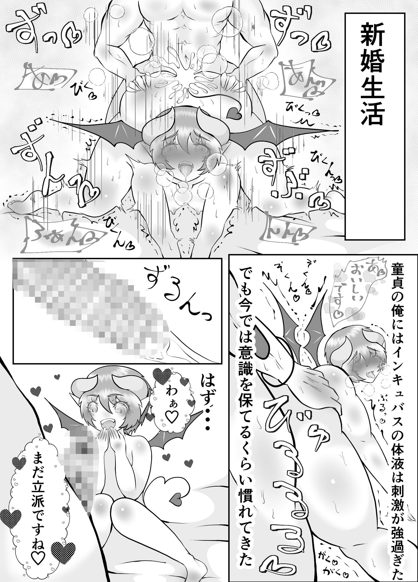処女インキュバスは俺の嫁のサンプル画像8