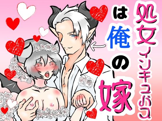 処女インキュバスは俺の嫁のタイトル画像