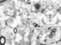 かんパイ弐 常時無常総集編2018〜2022
