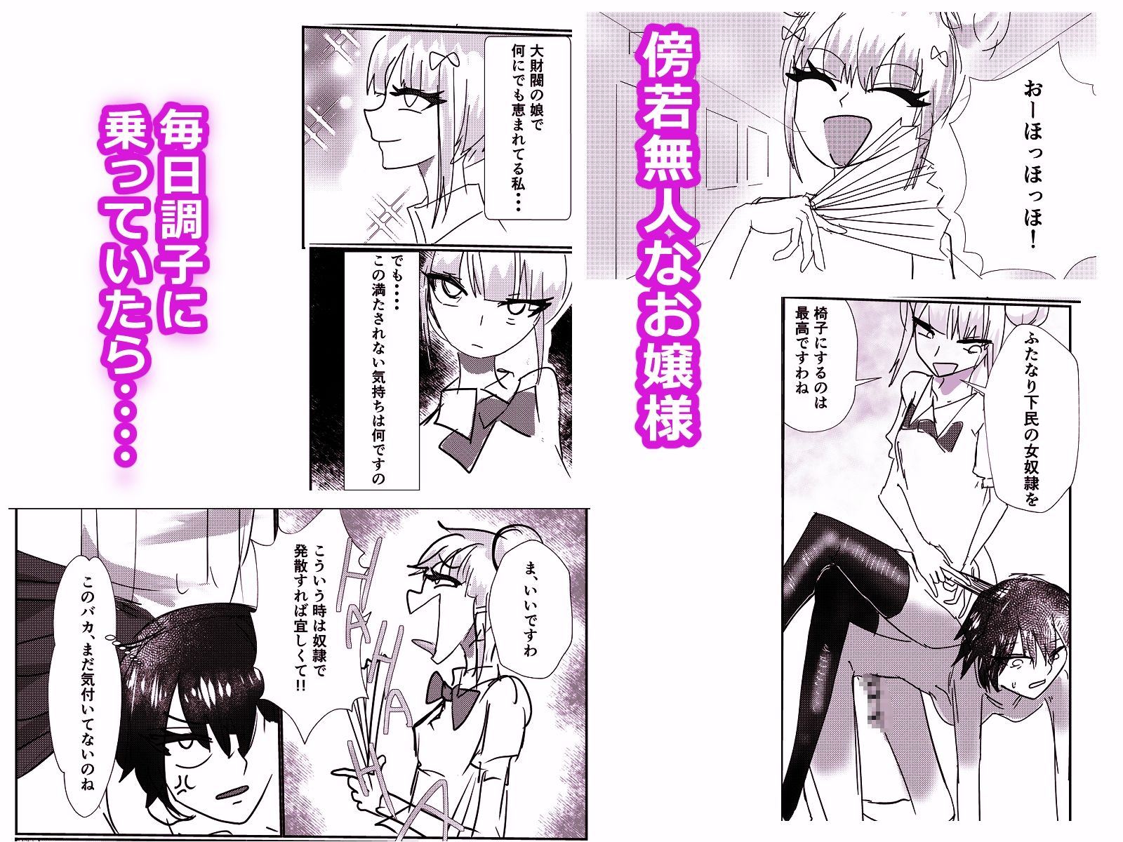 高飛車お嬢様  ふたなり奴●に反逆される 画像1
