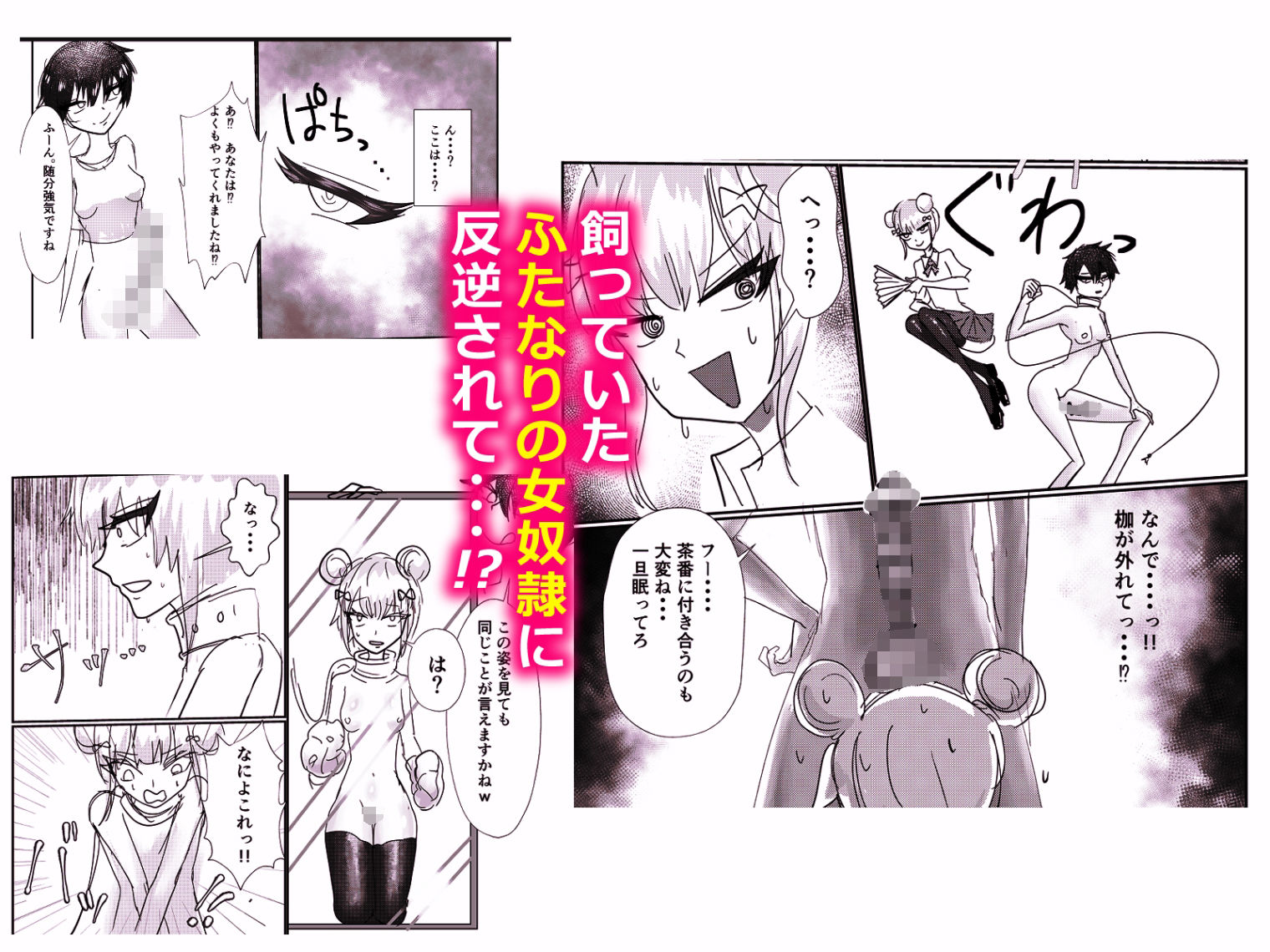 高飛車お嬢様  ふたなり奴●に反逆される 画像2
