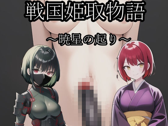 【無料エロ漫画】戦国姫取物語〜暁星の起り〜(melt) d_678751