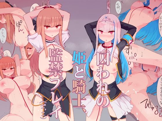【姫と騎士監禁プレイごっこ】にじいろすいしょう