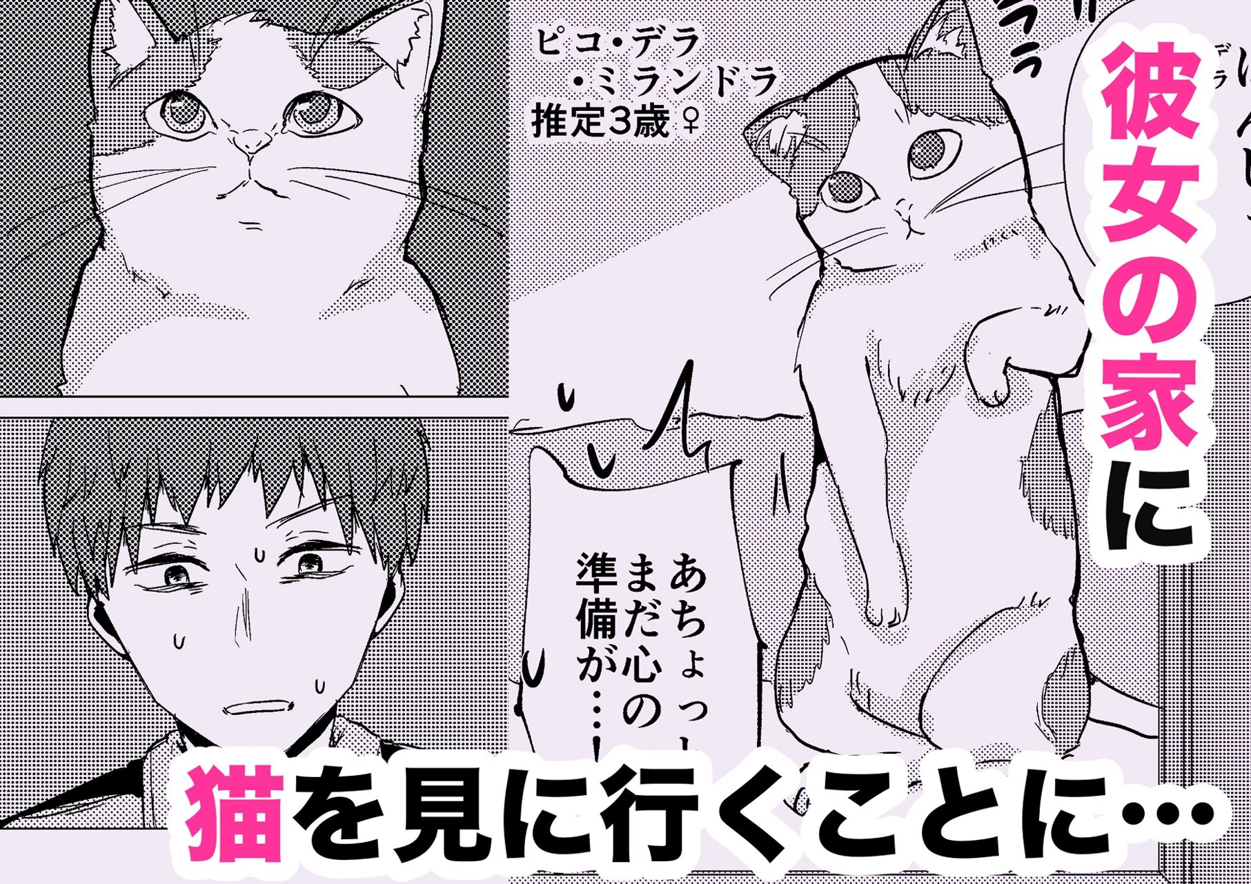 ウチに猫ちゃん見にこない？ 画像3