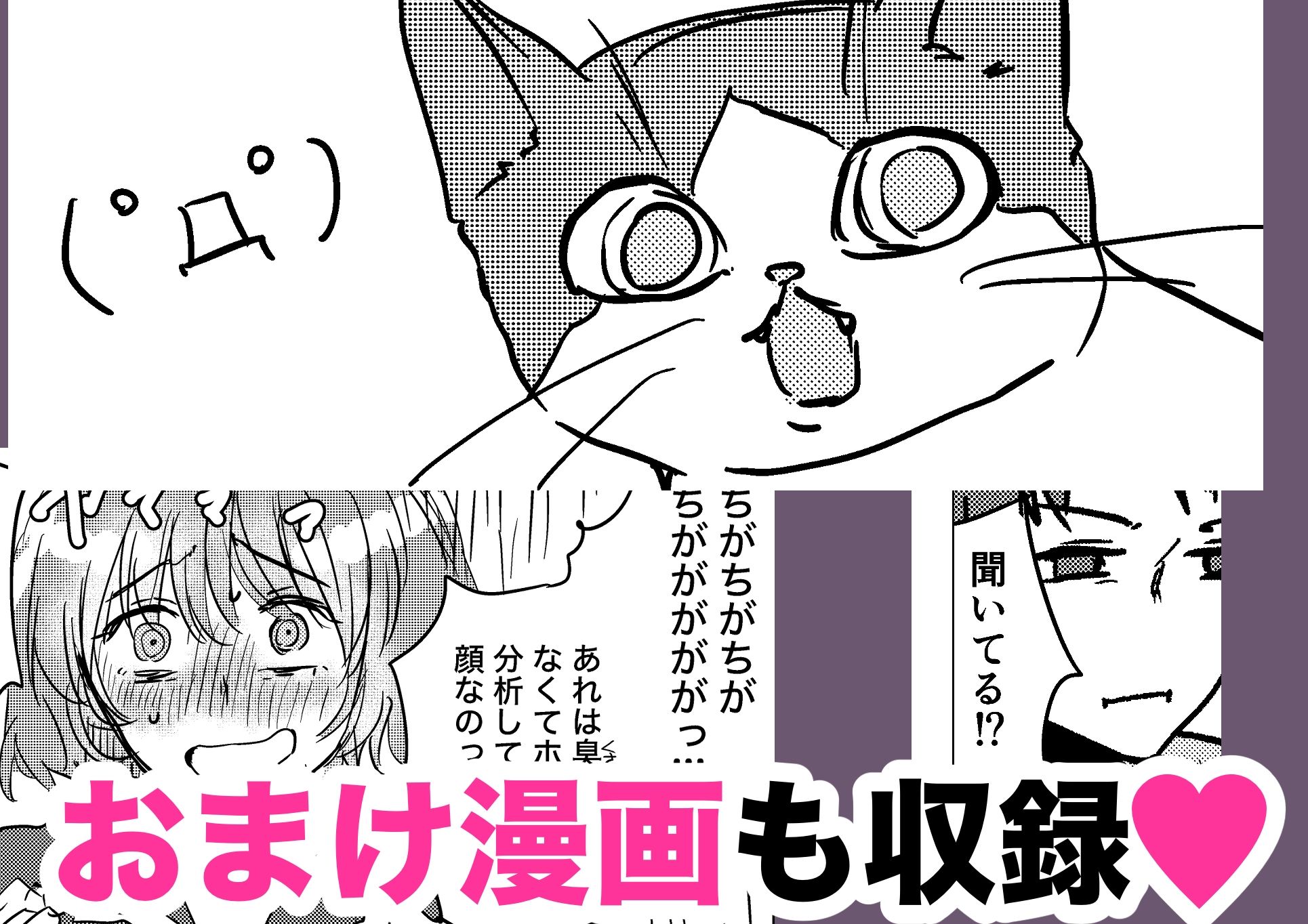ウチに猫ちゃん見にこない？ 画像9