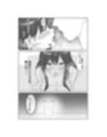 堕ちゆく清楚の果て