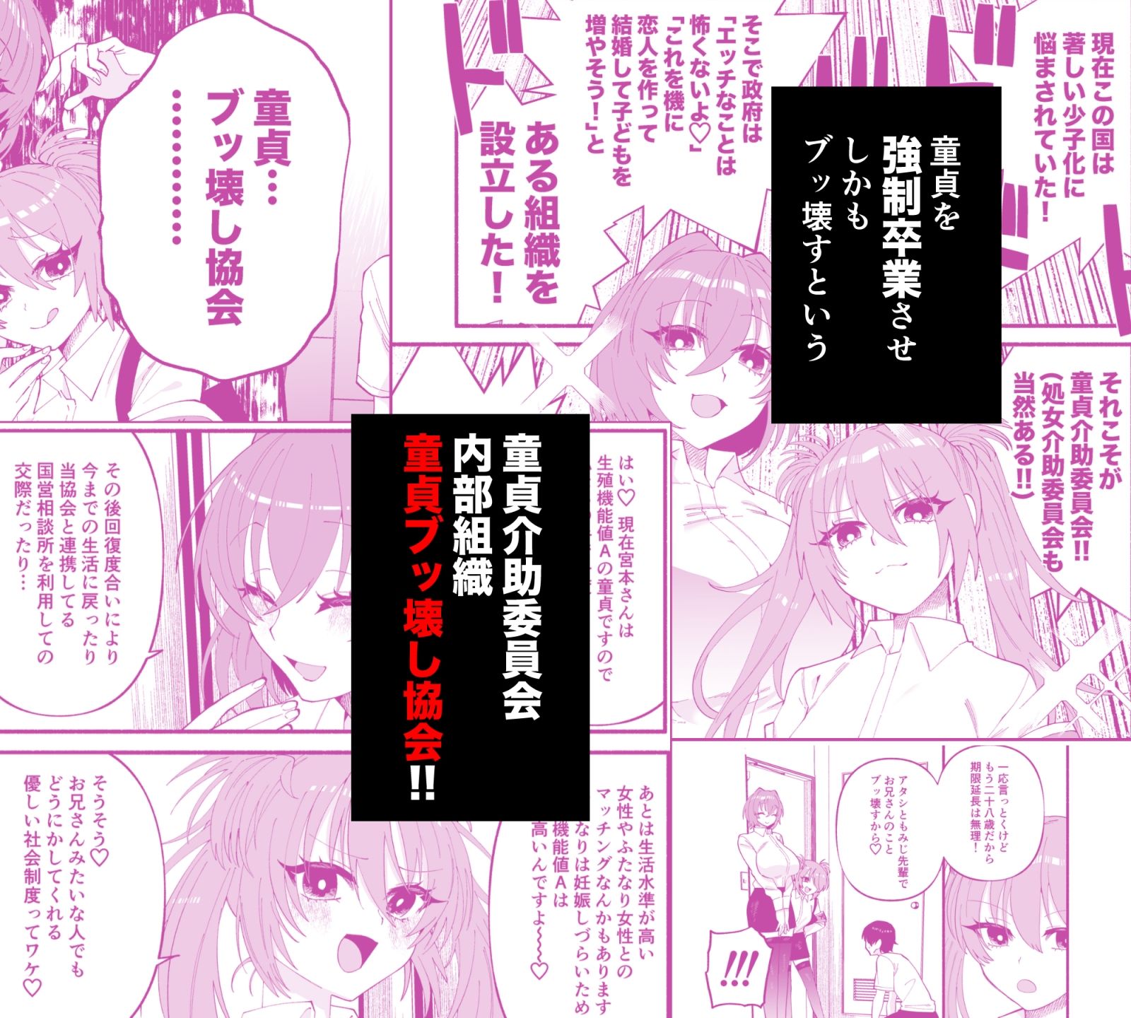 サンプル画像3:わたくしたち、「童貞介助委員会」内部組織「童貞ブッ壊し協会」の者ですが…(ヒダリミギ) [d_685303]