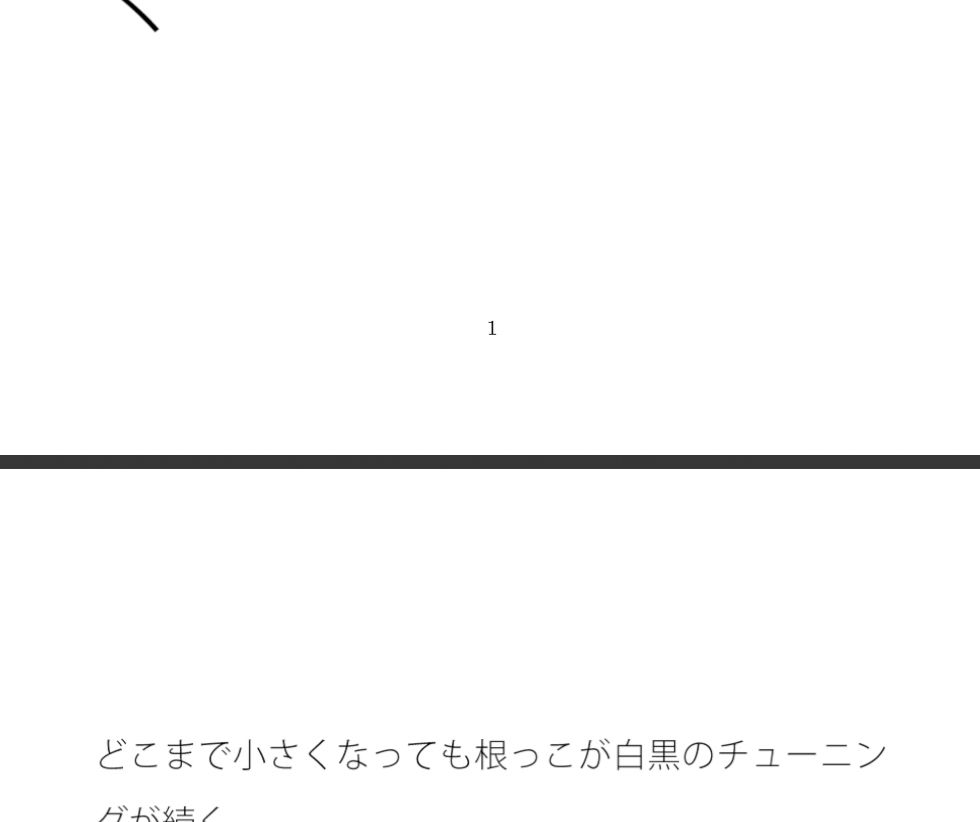 突き詰めれば白黒のチューニングはゴール後の薄っぺらい粒子崖(りゅうしがけ)の上でも続く 画像1