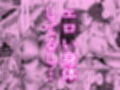 僕は誰と付き合えばいいのだろうか
