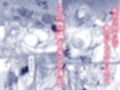 触っただけでイく女  職場のババア先輩