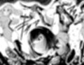 女戦闘員ゾンビ時刻ダイジェスト版 vol.2 完結編