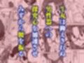 マッチング物件おなぱーと