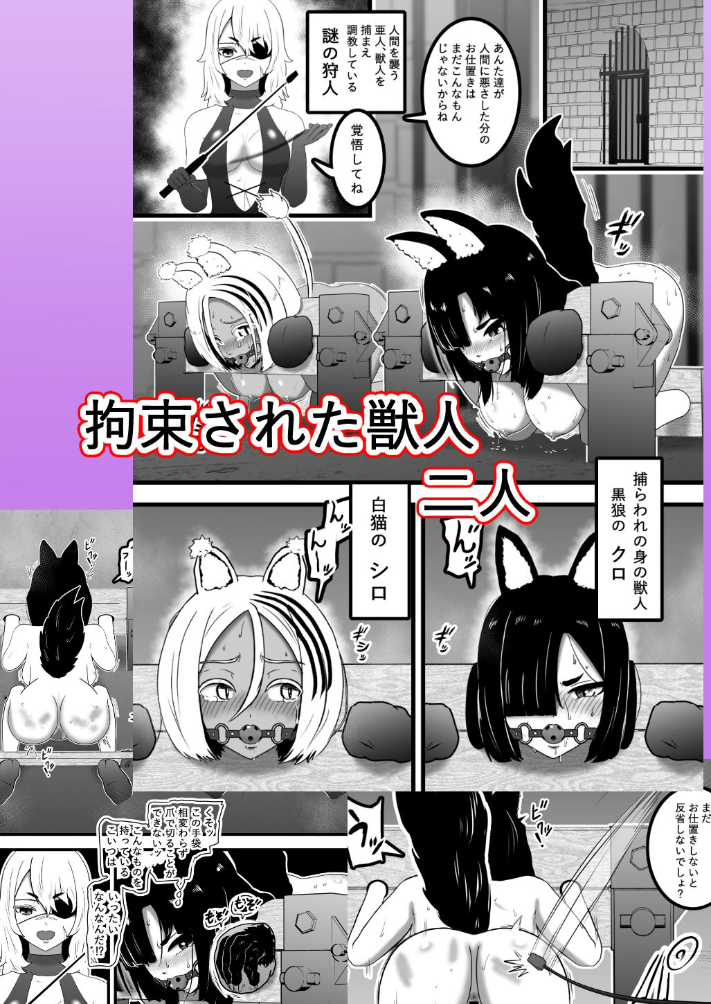 サンプル画像5:ヴァンパレイド8・5 〜白猫 黒狼 調教編〜(トンテン) [d_690253]