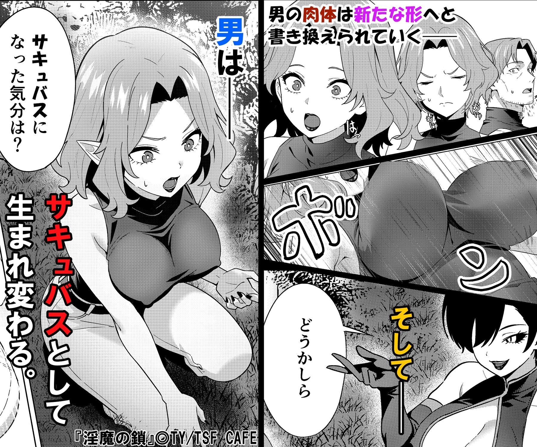 サンプル画像5:淫魔の鎖(TSF CAFE) [d_690608]