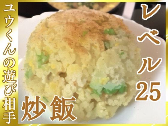 ユウくんの遊び相手 Lv25 炒飯