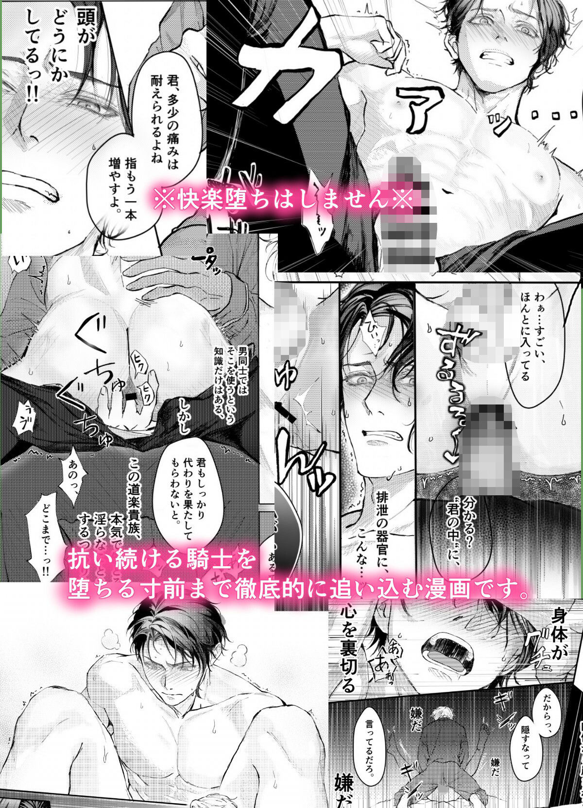 『貴方に従い、貴様に抗う。』〜絶対に堕ちない気高い剣聖が、交換条件で嫌いな主君に屈辱的に犯●れる漫画〜【初夜編】 画像7