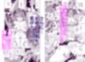 魔法学園首席に勝利して一日支配する。