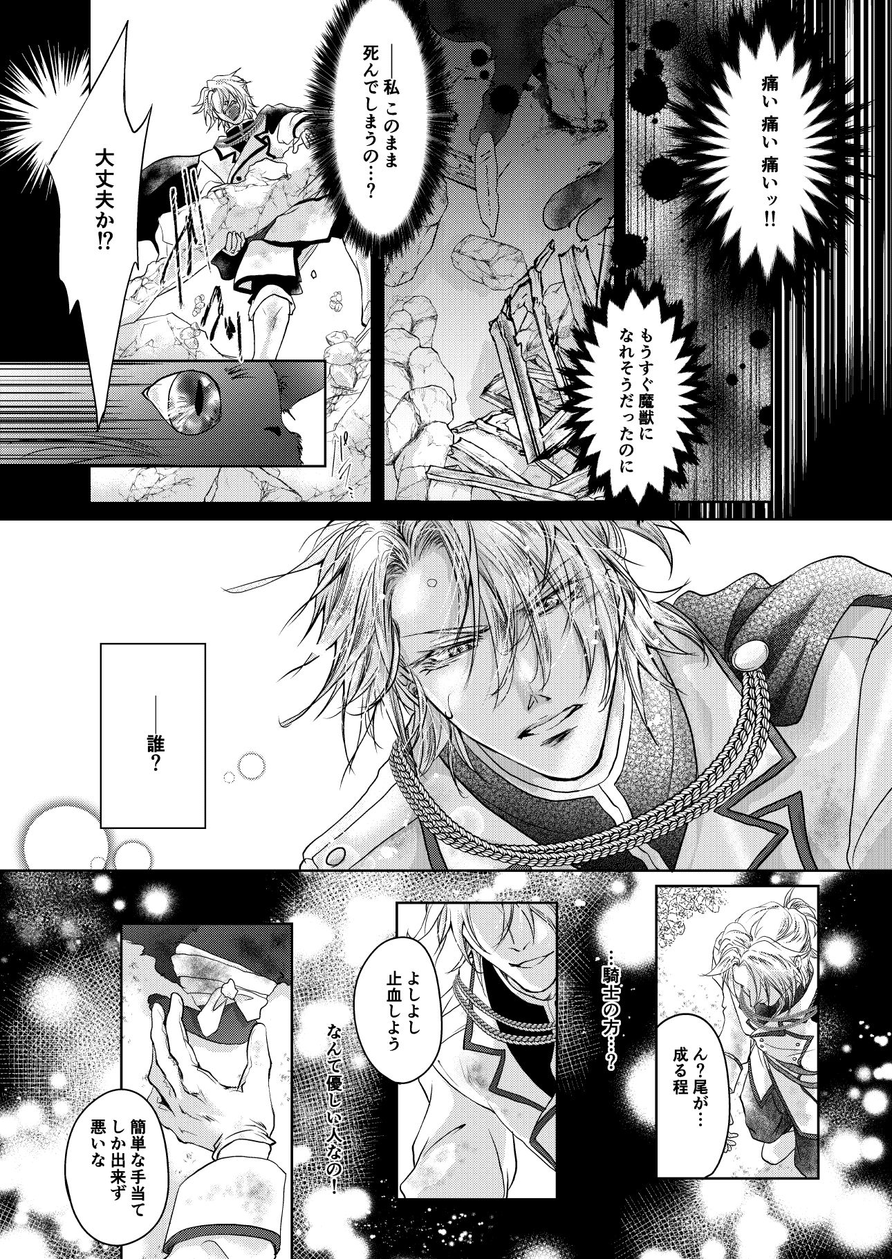 騎士様お慕いしております 無料画像1