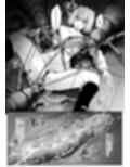 蟲罰