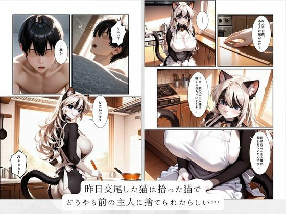 サンプル画像3:拾った猫が爆乳化け猫獣人で、毎晩えっちなおねだりが止まらない件(MEZ工房) [d_699997]