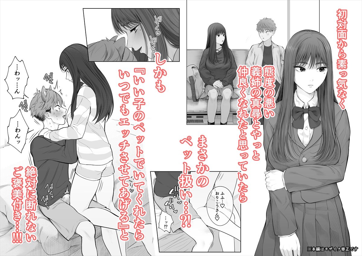 姉犬-義姉は家族でえっちなご主人様- 画像3