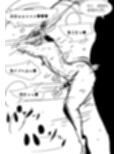 メス堕ち忍者、チン負け乱舞。〜背徳のホモ交尾に悶え狂う男くノ一〜