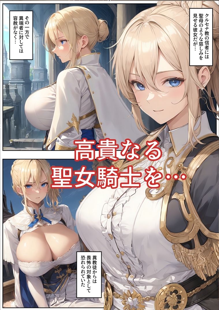 サンプル画像1:売奴家畜化調教13 聖女騎士ハイダ(Hydra777) [d_706884]