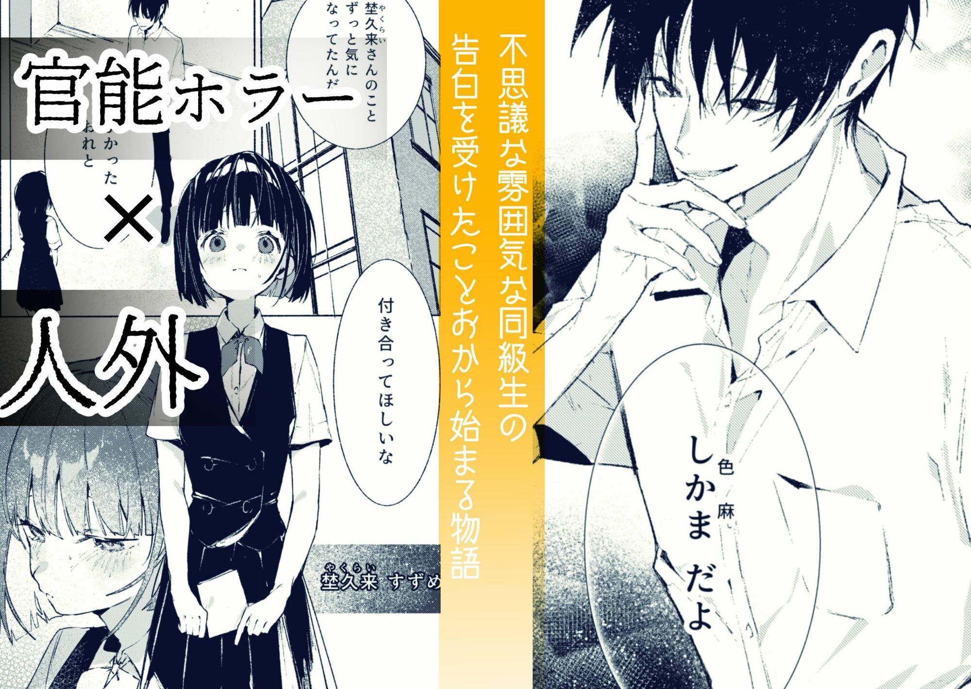 誰ガ可笑シイ 1枚目