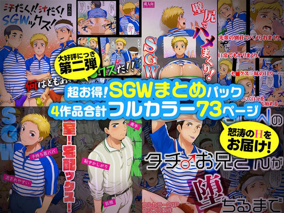 超お得！SGWまとめパック第二弾のタイトル画像