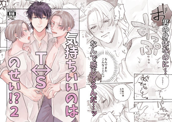 気持ちいいのはTSのせい！？2のタイトル画像