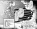 ふたなり特区調査報告書